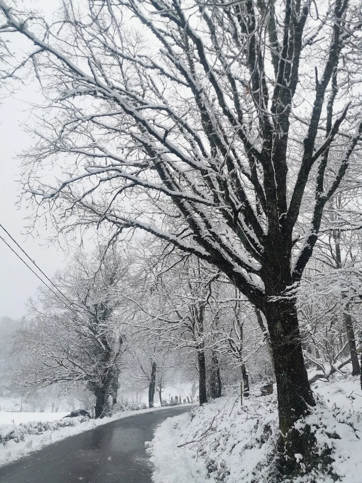 La aldea en invierno