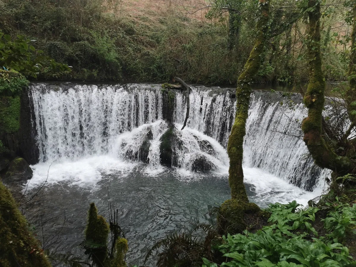 Fervenza entre el bosque, en los alrededores de O Incio